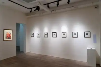 photos